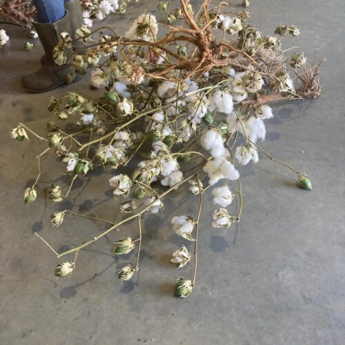 Understanding Slow Fashion and Creating a Sustainable Lifestyle in a Plastic World