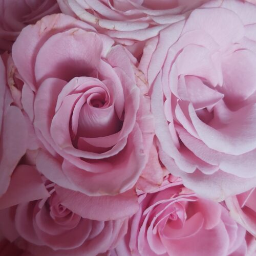 The Hidden Dangers of Artificial Fragrance — and How to Embrace Safer Alternatives