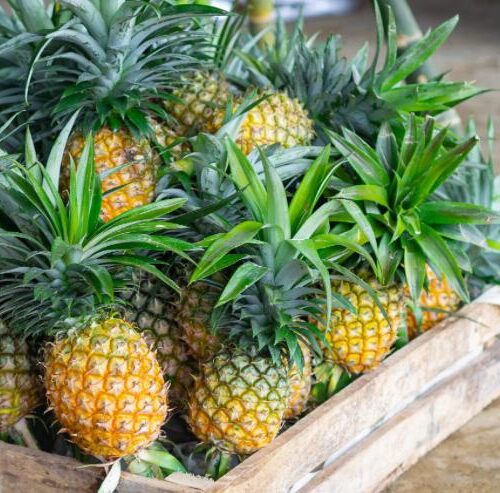Colour me pineapple