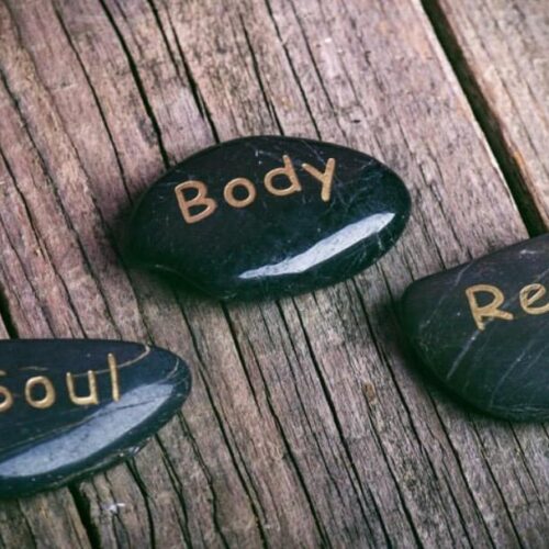 The Soft Structure of Plant-Based Living